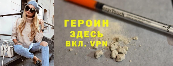 шишки Няндома