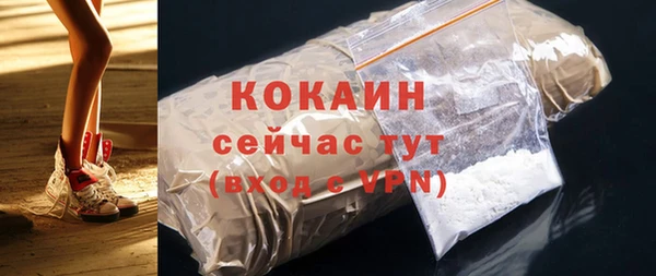эйфоретик Бикин