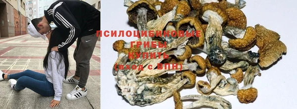 тгк Алзамай