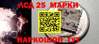 гидропоника Пенза