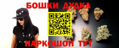гидропоника Пенза