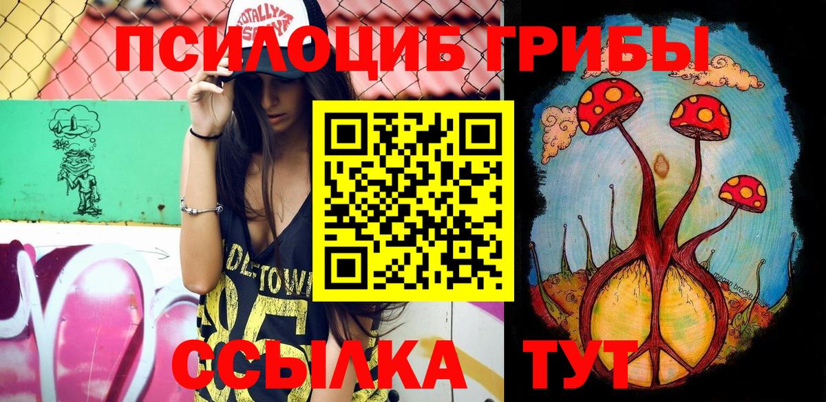 Галлюциногенные грибы Psilocybe Юрга